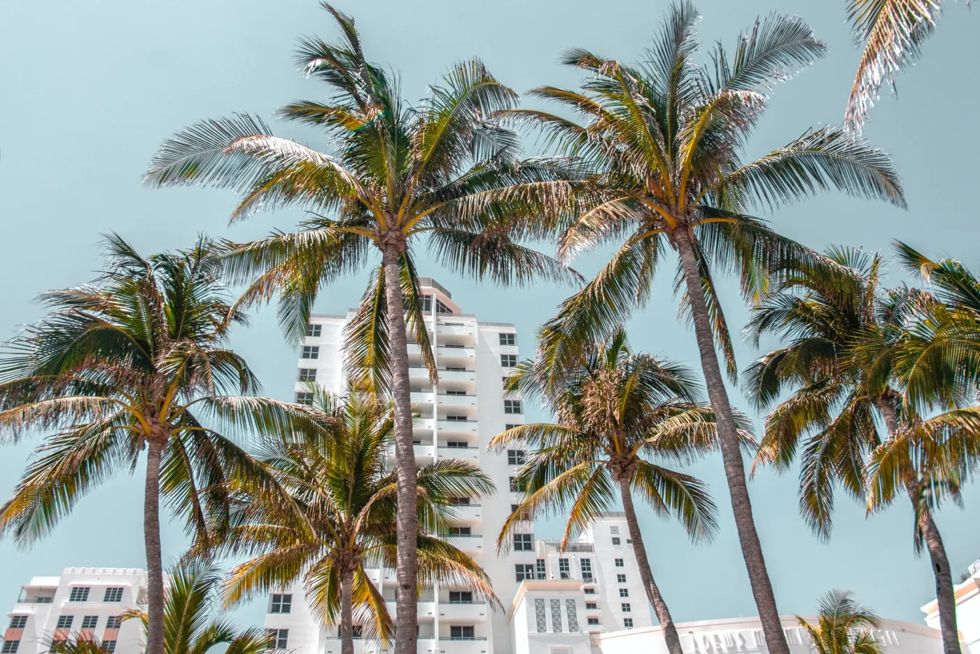 Broward County Building Inspection and Certification