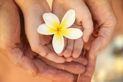 Hands holding a flower, generational planning